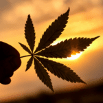 Driving High on Drugs in Israel